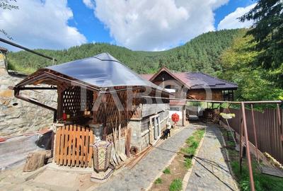 Casa de vanzare cu 6 camere in drumul spre Paltinis bonus inca o casa - 9