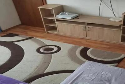 Garsoniera Lipovei confort 1 mobilata utilata 4 apartamente pe etaj - 7