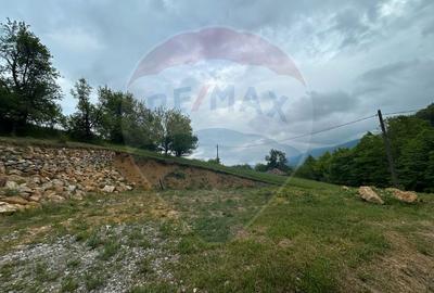 Teren Construcții intravilan de 2000 mp, în Copalnic-Mănăștur - 5