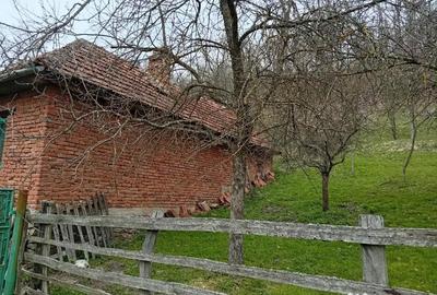 Casă cu 4 camere în Poieni (Densuș) - 4