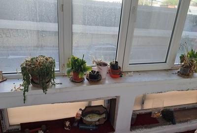 Apartament cu 3 camere decomandat în Central - 5