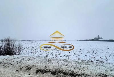 Teren de 4579 mp, în Schineni (Săucești) - 3