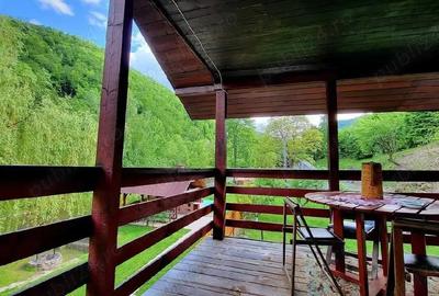 Casă cu Teren 4866 Mp în Central - 7