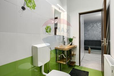 Apartament 2 camere , renovat, mobilat- utilat,  zona centrala - 14