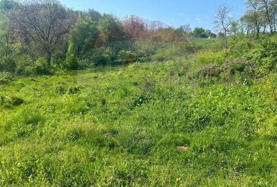 Teren Construcții intravilan de 1000 mp, în Măgura - 3