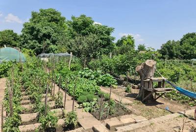 Casă cu 8 camere cu Teren 650 Mp în Central - 5