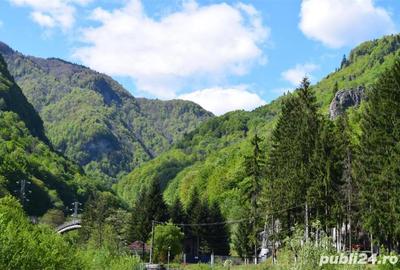 Teren de 1000 mp, în Moroeni