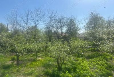 Casa de vanzare ,Verseni, comuna Miroslove?ti, jud. Ia?i - 3