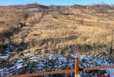 CASA DEMISOL+ PARTER SI TEREN DE VANZARE BOGDANESTI - BACAU CASA DEMISOL+ PARTER SI TEREN DE VANZARE BOGDANESTI - BACAU - 7