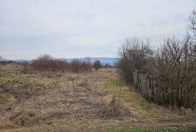 Teren de 3348 mp, în Troian - 4