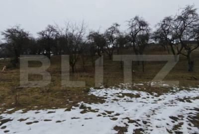 Teren de 1268 mp, în Mihai Viteazu - 4