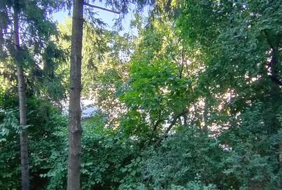 Apartament 3 camere, renovat,bucatarie mobilata,STB Straja la 3 min. - 8
