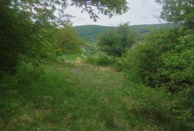 Teren extravilan 3640 mp Strada Stejarului - 10