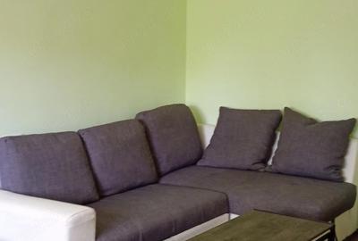 Apartament cu 3 camere decomandat în Lipovei - 10