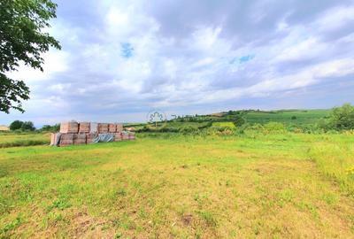 Teren intravilan 717 mp – Sura Mare, Sibiu - 1