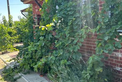 Casa din caramida - 4