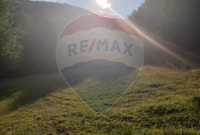 Teren intravilan de 5000 mp, în Coaș - 9