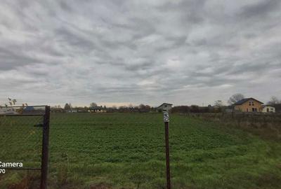 Spațiu comercial, în Lipia - 1