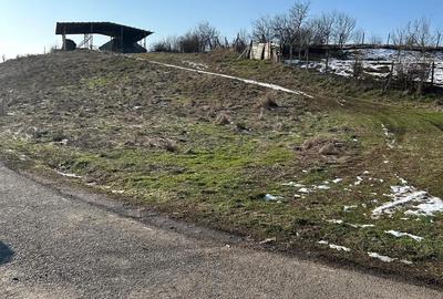 Teren de 1440 mp, în Murani