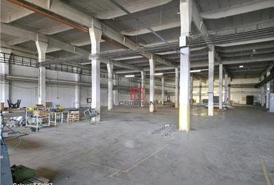 Depozit/hala/spatiu industrial Buftea - DN1A, ILFOV - 3