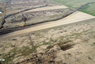 Spațiu comercial, în Moșnița Nouă - 1