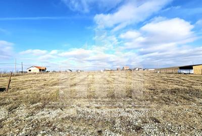 Teren Construcții intravilan de 509 mp, în Oarda - 2