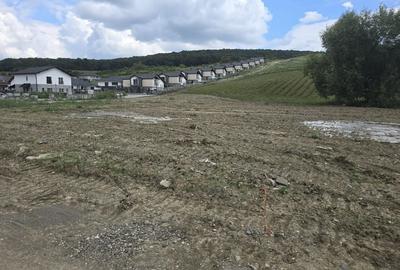 Teren Construcții intravilan de 18600 mp, în Livezeni