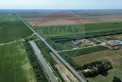Ferma vegetala 148 ha ?i sediu ferma Maicanesti !