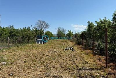 Royal Imobiliare - Vanzare Casa zona Barcanesti - 5