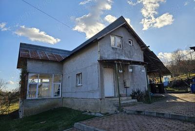 Casă cu 3 camere cu Teren 6772 Mp în Ursoaia - 9