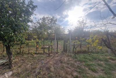 RECO Vila deosebita  in Santandrei cu sauna si teren generos - 47