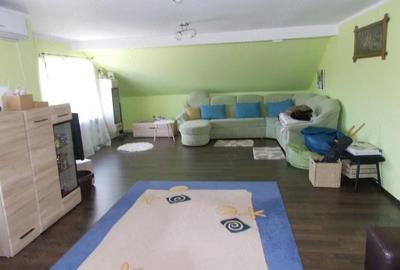 Casă cu Teren 1670 Mp în Sânandrei - 3