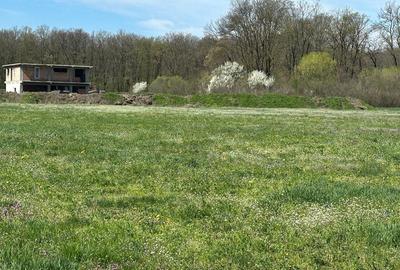 Teren de 2500 mp, în Cocani - 3