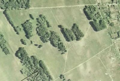 Teren de 25000 mp, în Dunavățu de Jos - 3