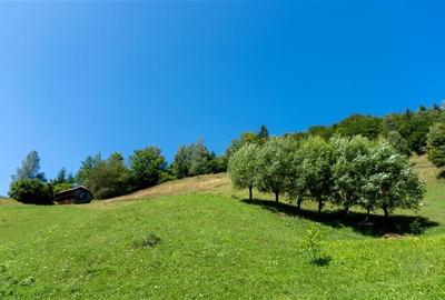 Oaza rustica: Case si teren generos de 9.400 mp in Dambovicioara, Arges Oaza rustica: Case si teren generos de 9.400 mp in Dambovicioara, Arges - 11