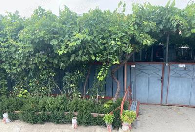 Casă cu Teren 2240 Mp în Scorțaru Nou - 5