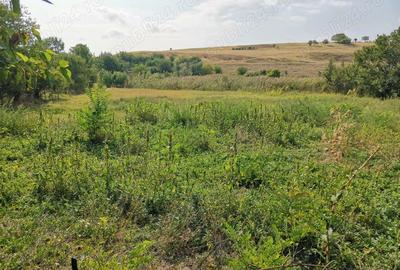 Casa de vanzare in comuna Bogdana - 9