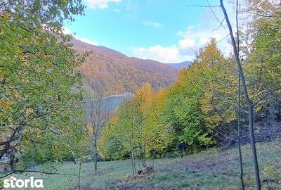 Teren de 2000 mp, în Valea Doftanei - 4