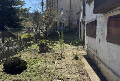 Casă cu 3 camere în Furnica - 5