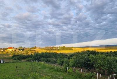 Casa/Vila de vanzare / posibil  Pensiune ,cu view si padure la coltul strazii - 1