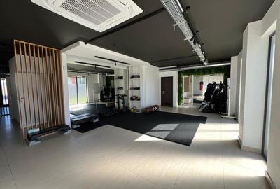 Spatiu comercial Buna Ziua, 200 mp. - 2