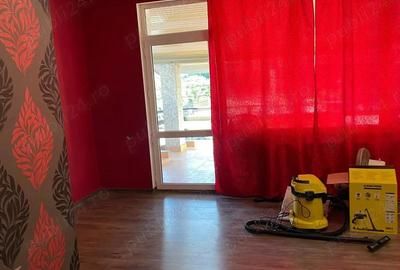 Casă cu 2 camere cu Teren 920 Mp în Cetate - 3