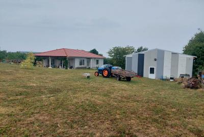 Casa și hala la 18 km de Oradea - 8