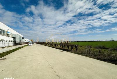 Teren de 46400 mp, în Giroc