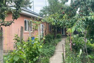 Casă cu 3 camere în Gara Banca - 4