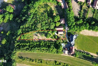 Teren de 1719 mp, în Baciu - 6