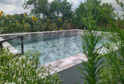 Spațiu comercial, în Dudovicești - 11