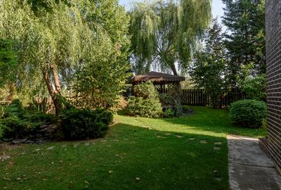 Otopeni - str Campului - Vila 4 camere+birou, curte generoasa - 10