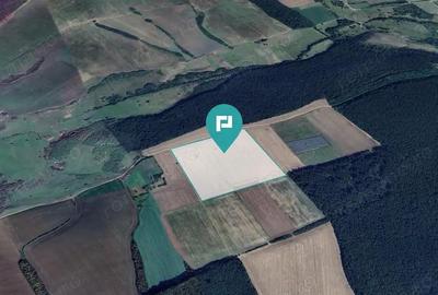 13ha de teren compact Ianova-Bencec - 2