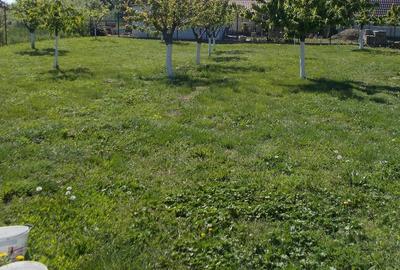 Casă cu 4 camere cu Teren 1190 Mp în Parța - 14